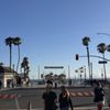 Surf City Market gift card