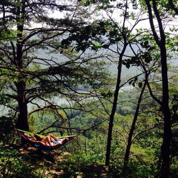 Signal Point - Came across these cool cats. They had the right idea, plenty of trees and ledges to post up a hammock for a little nap. - Hiking Near Me - Signal Mountain, Tennessee Signal Point - Came across these cool cats. They had the right idea, plenty of trees and ledges to post up a hammock for a little nap. - Hiking Near Me - Signal Mountain, Tennessee