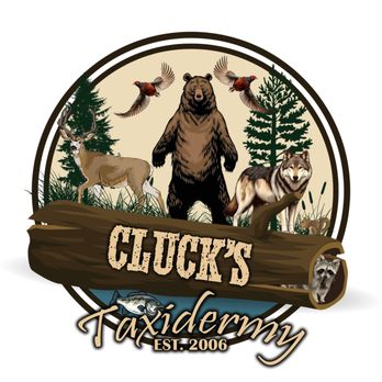 Cluck's Taxidermy - Taxidermy Near Me - Antioch, California Cluck's Taxidermy - Taxidermy Near Me - Antioch, California