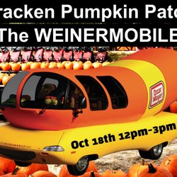 Bracken Pumpkin Patch
