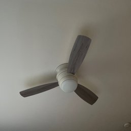 Ceiling light/fan Ceiling light/fan
