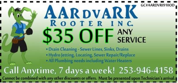 Slide of Aardvark Rooter