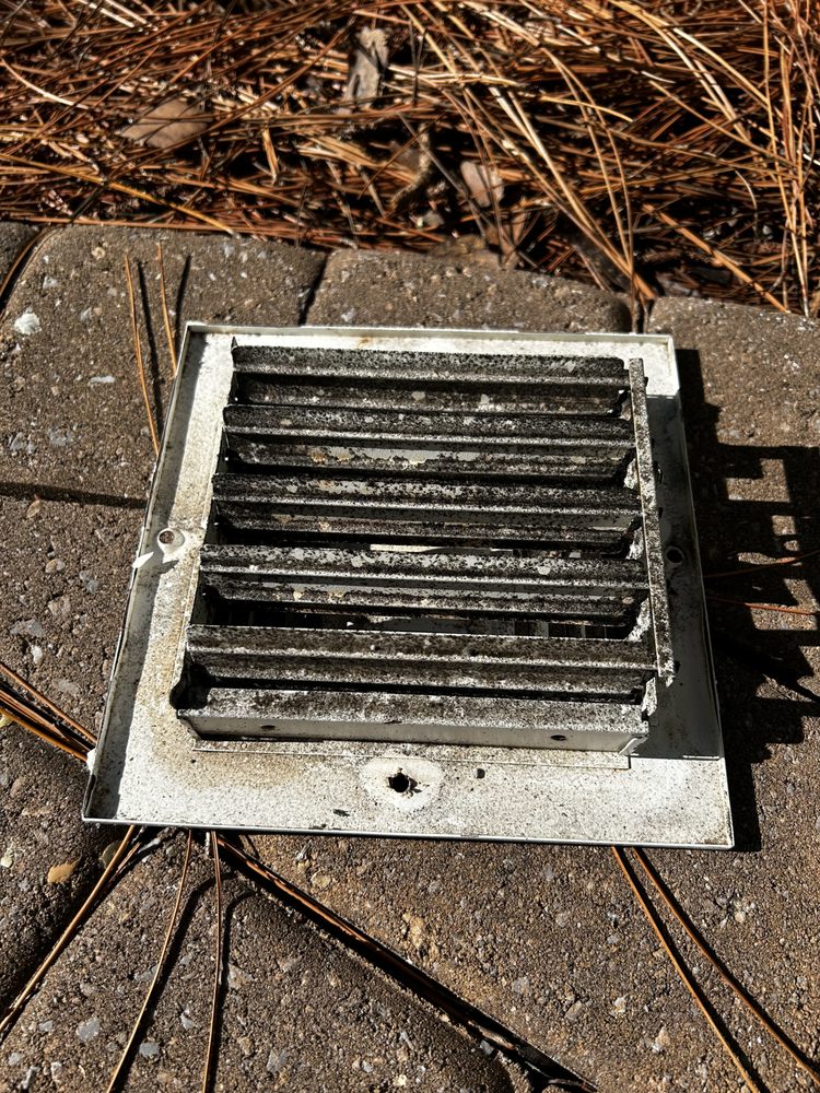 Florida Mold Removal Service Group - mold inspector in Navarre, FL