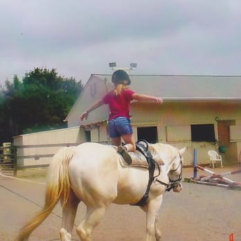 Stonelea Farm - Horseback Riding Near Me - Aldie, Virginia