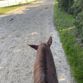 Griffith Park Horse Rentals - Nice little stroll alongside the riverbed. - Horseback Riding Near Me - Glendale, California
