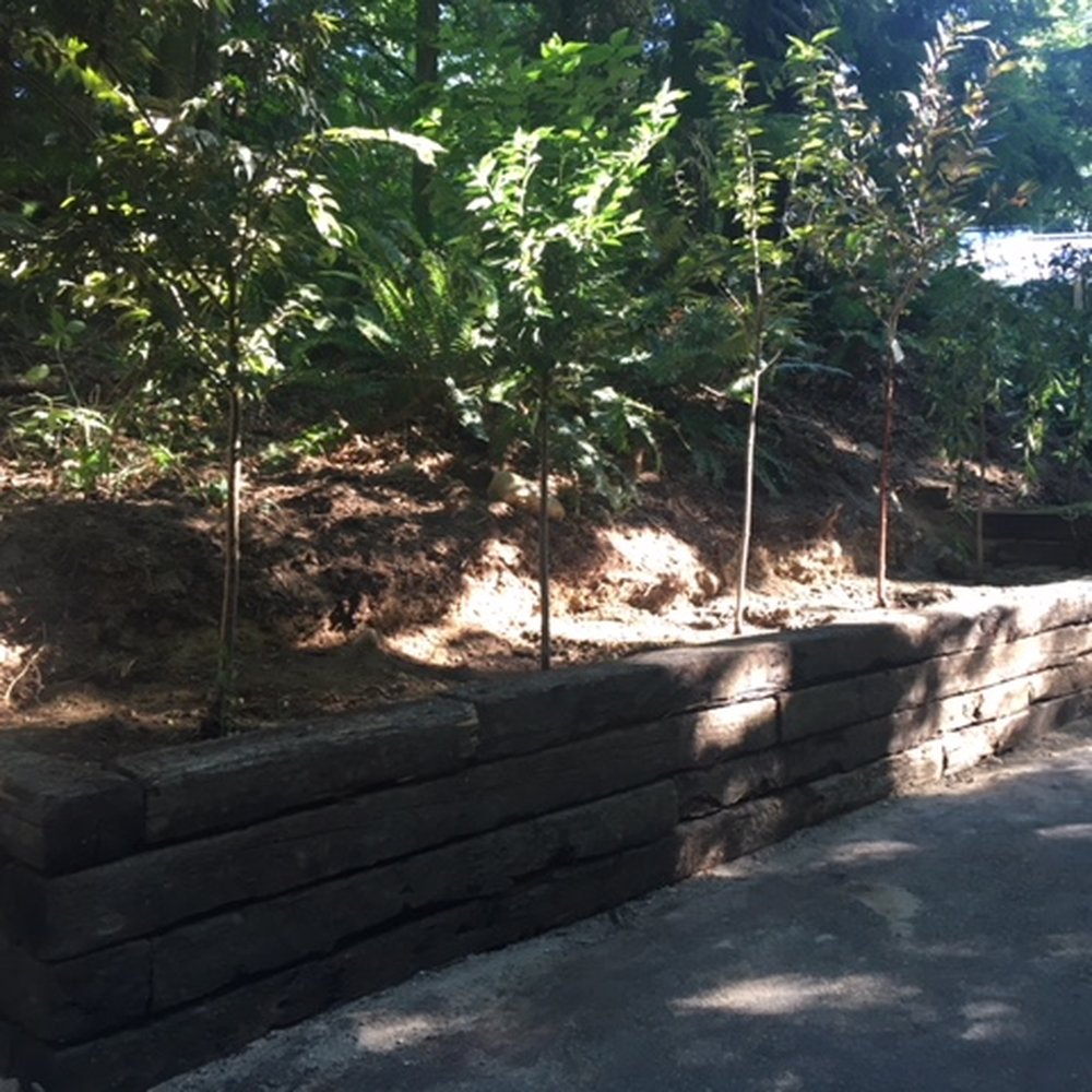 Merino’s Landscaping - New retaining wall and planted trees. - Lawn Services Near Me
