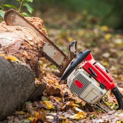 A&M Tree Service