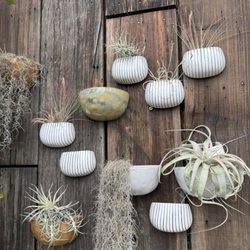 Flora Grubb Gardens - Wall planters