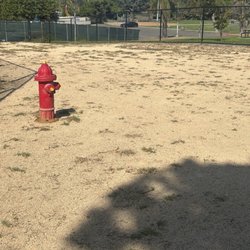 Huge large dog area.