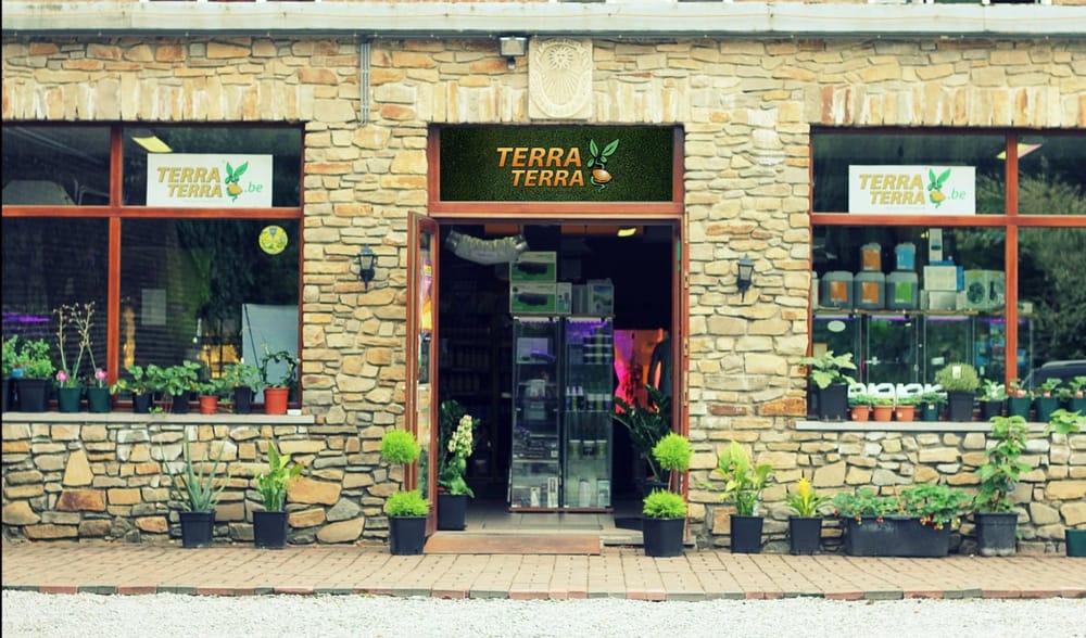 TerraTerra