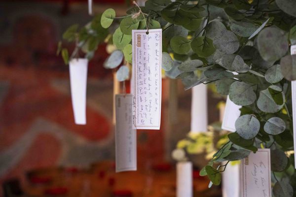 Singing Tiger by null