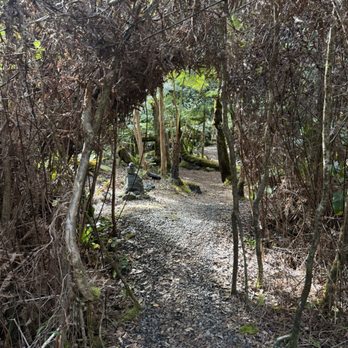 Volcano Garden Arts - Art Galleries Near Me - Volcano, Hawaii Volcano Garden Arts - Art Galleries Near Me - Volcano, Hawaii