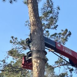 Bennett's Tree Service