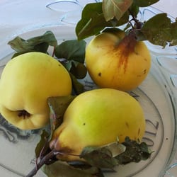Tamar Ridge Kayena Vineyard - Fresh quinces