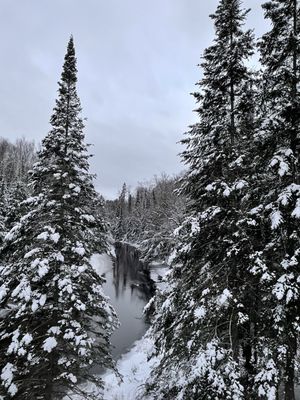 Arrowhead Provincial Park by null