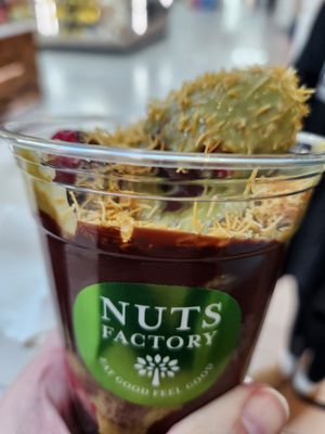 Nuts Factory by null