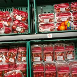 Tesco Metro - Tomatoes