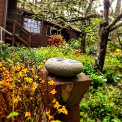 Winglewich Landscape Contracting