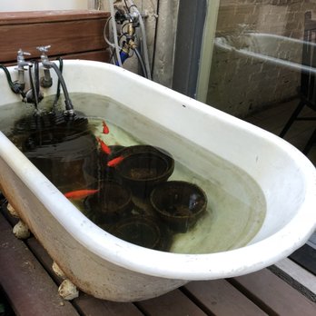 Olmsted - Bathtub with gold fish in outdoor garden - New American Near Me - Brooklyn, New York