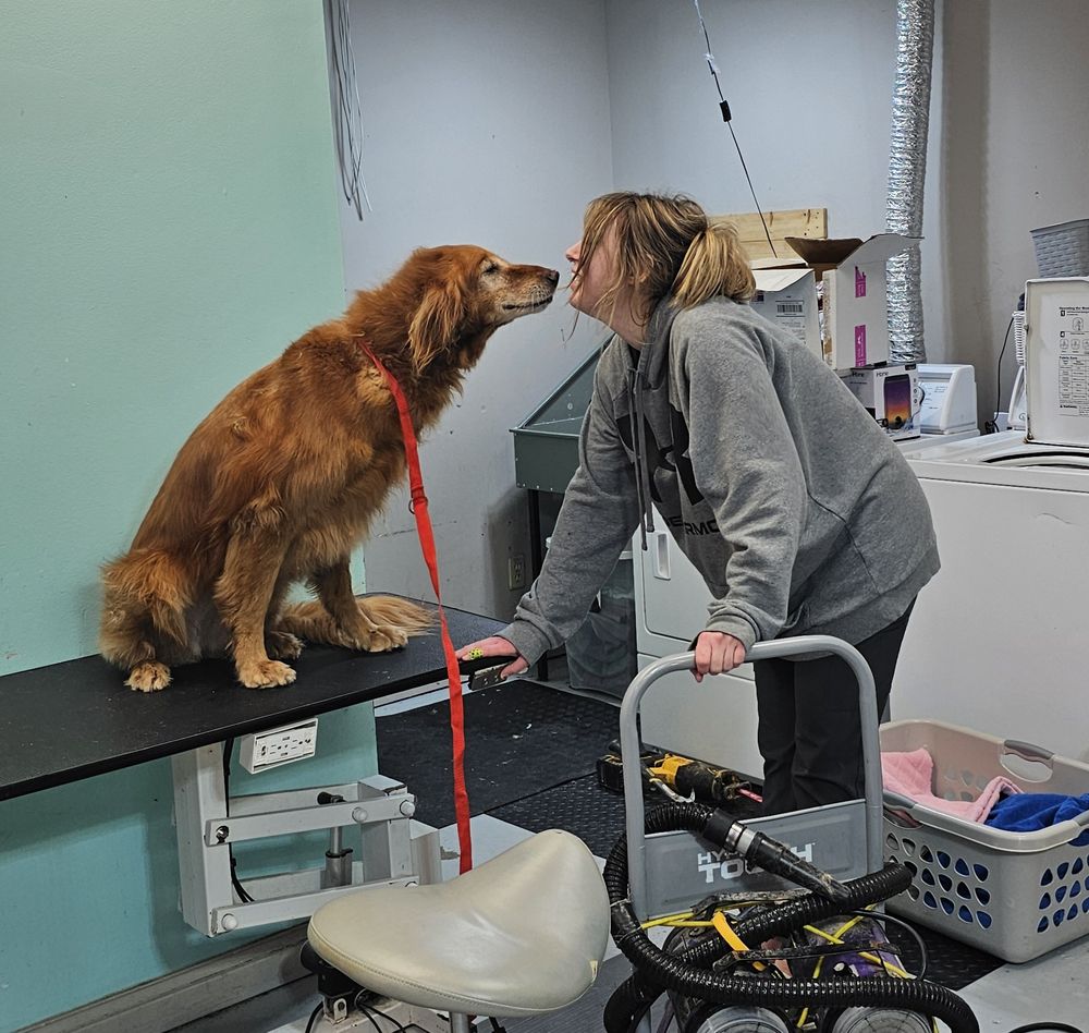 SHAMPOOCHES GROOMING Updated October 2024 18 Photos & 10 Reviews 4250 E Broadway, Columbia