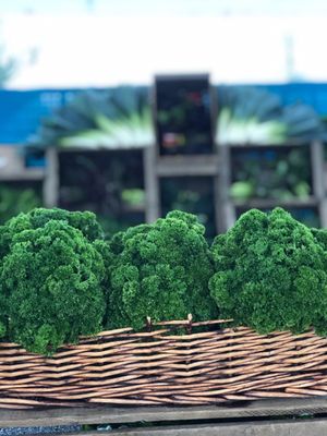 Hillsdale Farmers' Market by null