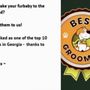 Must Love Dogs Grooming Salon
