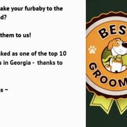 Must Love Dogs Grooming Salon - Voted as one of the top ten groomers in GA!