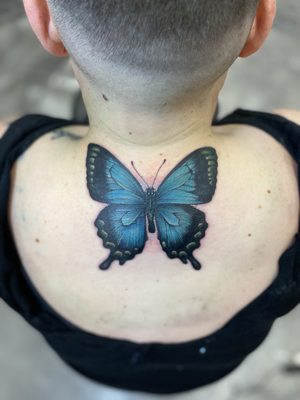 Nightlife & Ink Photos