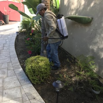 Abel's Yard Services - Applying weed killer product cautiously - Irrigation Near Me Abel's Yard Services - Applying weed killer product cautiously - Irrigation Near Me