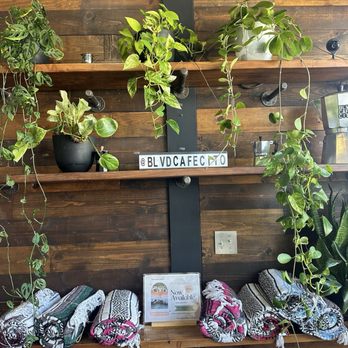 Blvd Cafecito - Cute plants and blankets - Coffee & Tea Near Me - Burbank, California Blvd Cafecito - Cute plants and blankets - Coffee & Tea Near Me - Burbank, California