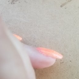 My light pink dip nails My light pink dip nails