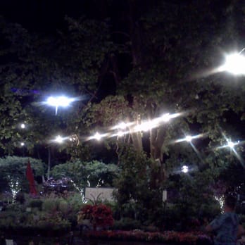 Pablo's Garden - Nurseries & Gardening Near Me - Rockville, Maryland