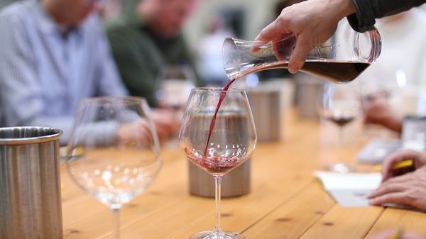 DuMOL Winery by null