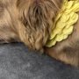 Photo of EarthWise Pet Supply & Grooming Wakeforest