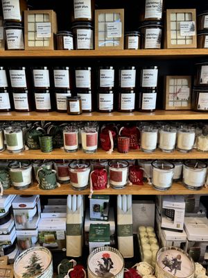 Salt Kitchen & Co by null