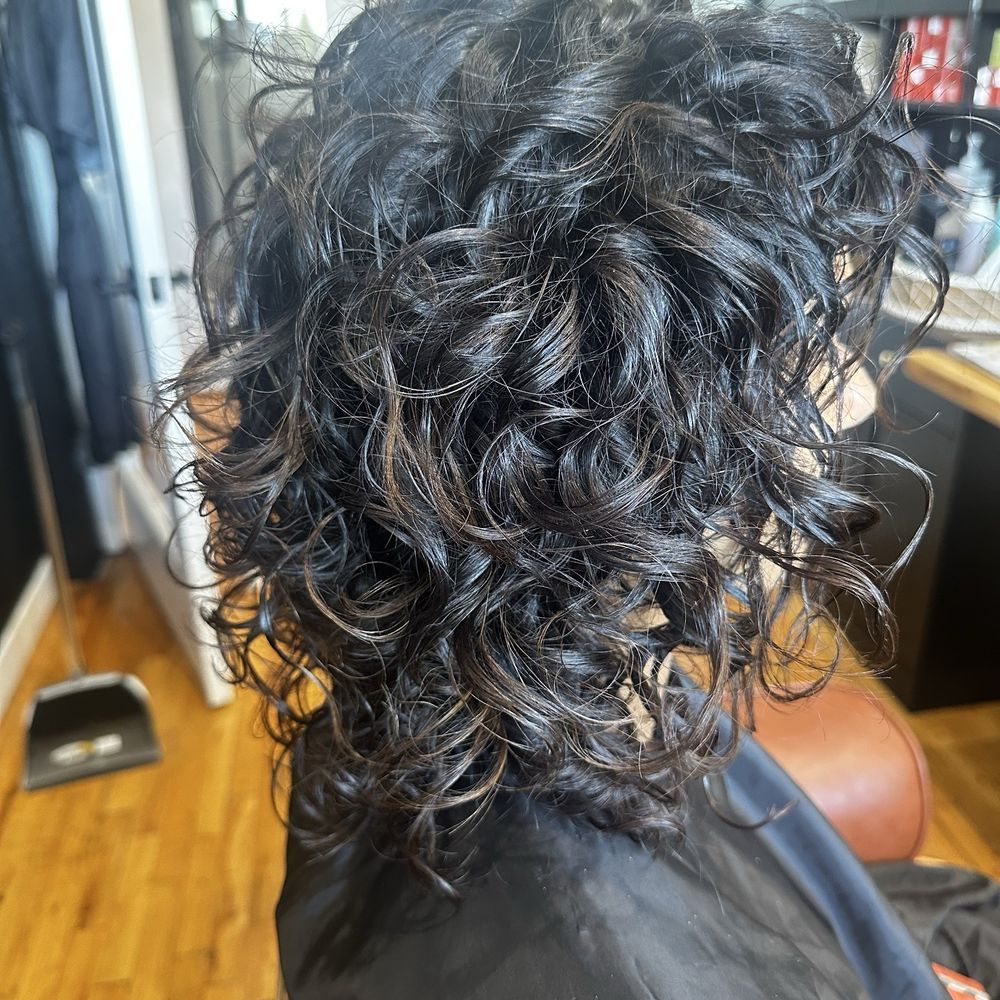 Jacqueline O'Hair - Curly hair cut - Hair Stylists Near Me - Bellevue, Washington Jacqueline O'Hair - Curly hair cut - Hair Stylists Near Me - Bellevue, Washington