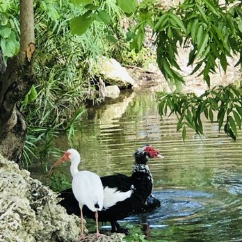 Fuchs Park - Parks Near Me - South Miami, Florida