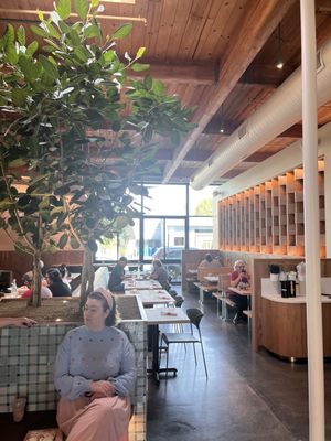 Acorn Cafe by null