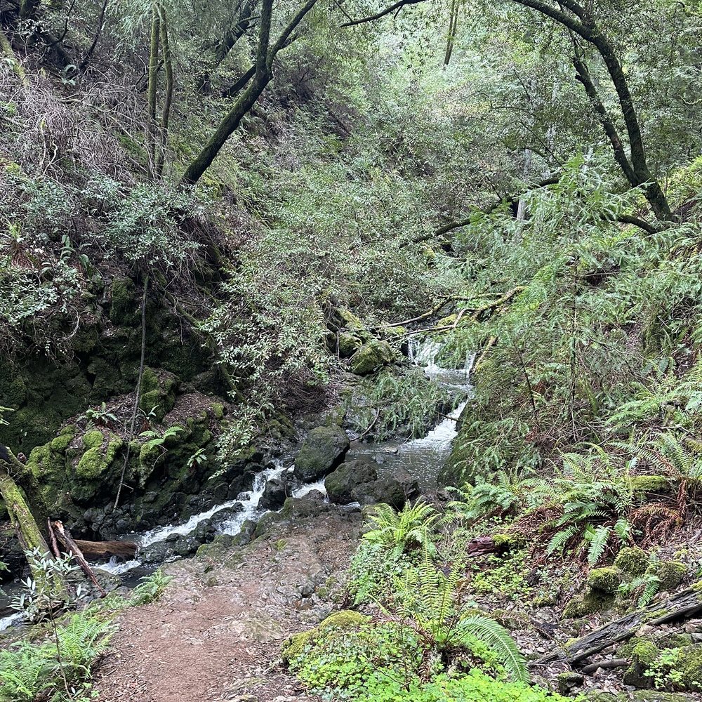 Cataract Falls Trail - Hiking Near Me Cataract Falls Trail - Hiking Near Me