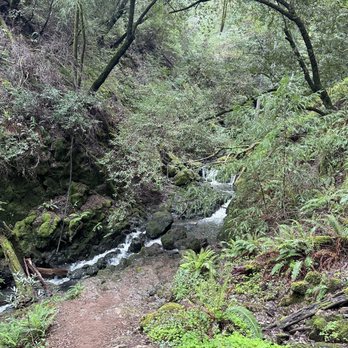 Cataract Falls Trail - Hiking Near Me