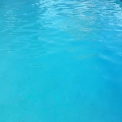 Adrian's Pool Service