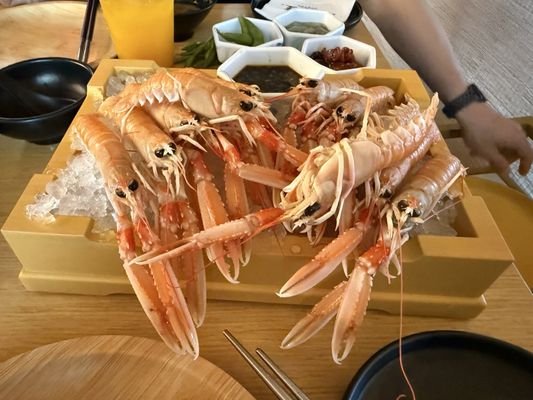 Mikiya Wagyu Shabu House | Santa Clara by null