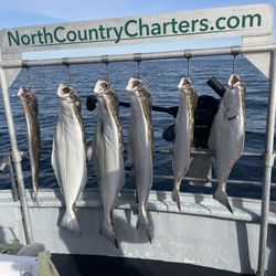North Country Halibut Charters - Fishing