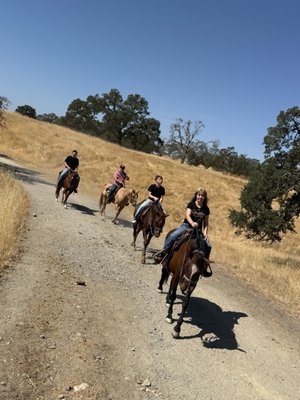 4 Horse Ranch by null