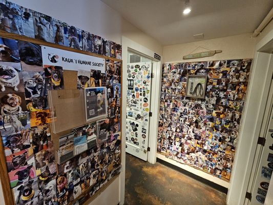 Kauai Beer Company by null