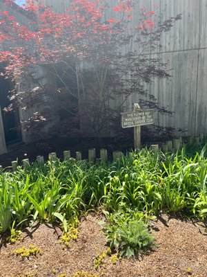 OAK RIDGE PUBLIC LIBRARY - Updated February 2026 - 30 Photos - 1401 Oak ...