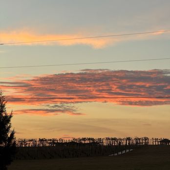Talon Winery & Vineyard - Sunset on the vines - Wineries Near Me - Lexington, Kentucky Talon Winery & Vineyard - Sunset on the vines - Wineries Near Me - Lexington, Kentucky