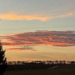 Talon Winery & Vineyard - Sunset on the vines