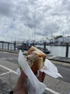 Shayna's Place by null