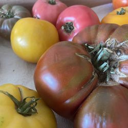 Herman Produce - Heirloom tomatoes:):):)